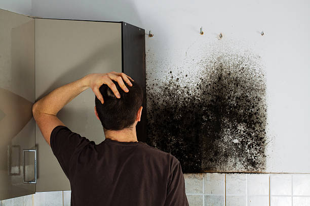 Best Bathroom Mold Remediation in Pasadena, CA